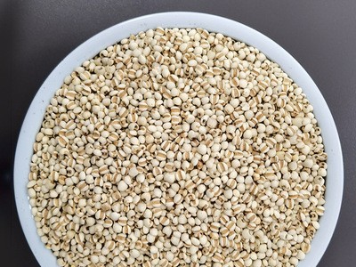 厂家供应熟小薏米仁 低温烘焙熟小薏仁 现磨坊磨粉代用茶原料图4