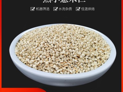 厂家供应熟小薏米仁 低温烘焙熟小薏仁 现磨坊磨粉代用茶原料图2