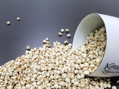 厂家供应熟小薏米仁 低温烘焙熟小薏仁 现磨坊磨粉代用茶原料图3