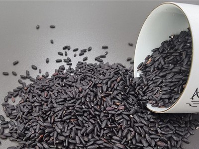 厂家供应低温烘焙熟黑米 现磨坊豆浆粉原料 熟黑米 量大从优图3