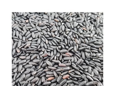 厂家供应低温烘焙熟黑米 现磨坊豆浆粉原料 熟黑米 量大从优图5