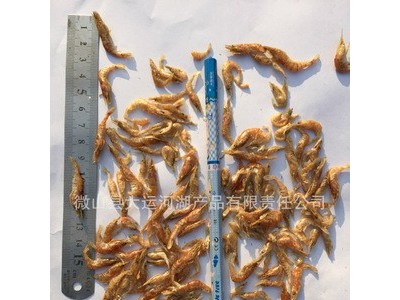 淡水虾干2-3cm虾干饲料鱼粮鸟粮龟粮巴西龟水族饲料乌龟图2