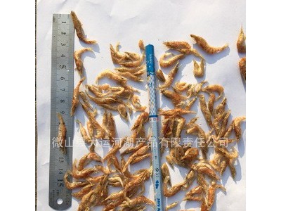 淡水虾干2-3cm虾干饲料鱼粮鸟粮龟粮巴西龟水族饲料乌龟图3