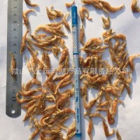 淡水虾干2-3cm虾干饲料鱼粮鸟粮龟粮巴西龟水族饲料乌龟