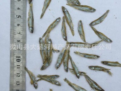 淡水鱼干2-3cm小白条鱼干饲料鱼粮龟粮鸟粮仓鼠水族饲料巴西龟粮图2