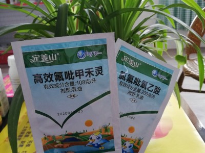 2020升级版 生姜田 苗后 除草剂 定姜山 禾本科杂草 不伤姜图2