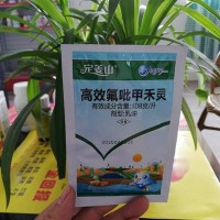 2020升级版 生姜田 苗后 除草剂 定姜山 禾本科杂草 不伤姜