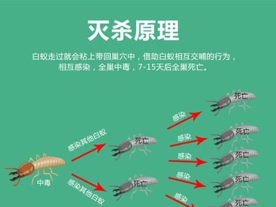 正品蚂蚁药杀虫剂全锅端家用室内灭白蚁药户外园林装修预防飞蚁图3