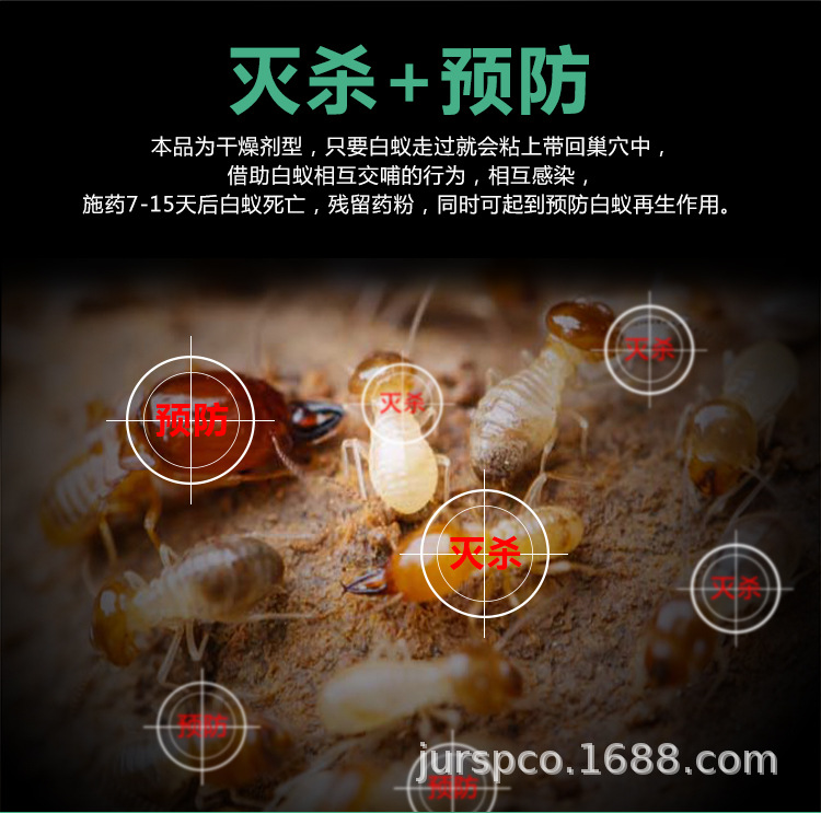 详情页 (2).jpg