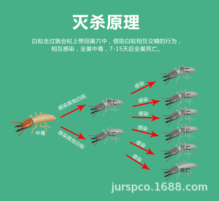 详情页 (3).jpg