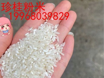 稻谷加工 珍桂大米粉米 切粉 米粉 螺蛳粉 石磨肠粉 桂朝大米粉米图2