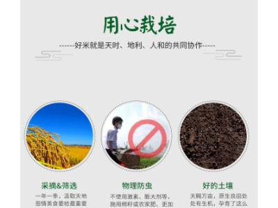 龙眠山稻谷香米1斤米砖真空包装贴牌会销房产开业活动定制图5