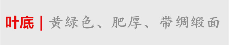 铁_副本_副本