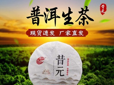 厂家批发普洱生茶饼357g 云南普洱古树生茶 礼品茶普洱生茶送礼图3