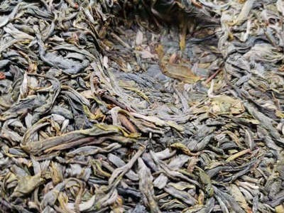 纸山箐老树茶 云南原生大叶种老茶 采摘于早春嫩叶 厂家供应图3