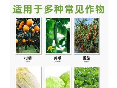 白菜甘蓝包心剂促长抗病抗寒防烂芯叶面肥抗病增产叶面肥图3
