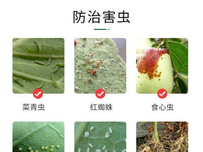 阿维菌素图4