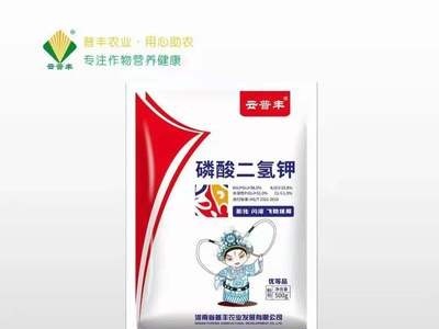 500克膦酸二氢钾水溶叶面肥微量元素果树蔬菜 花卉通用正品包邮图5