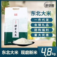 黑龙江特产大米真空袋装4.8kg包邮会销福利礼品批发现磨东北大米