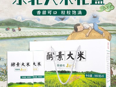 东北大米4.8kg礼盒装现货员工节日福利送礼佳品真空米砖酵素大米图2