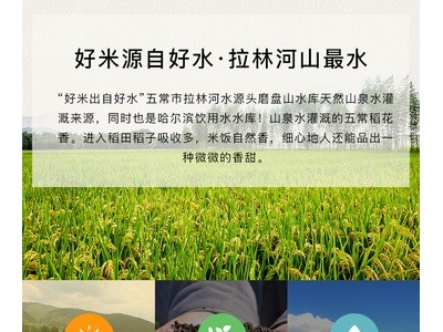 杜府粮源五常大米原粮稻花香二号大米5kg 产地直供图5
