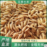 五常稻花香2号稻谷适用小型鲜米机