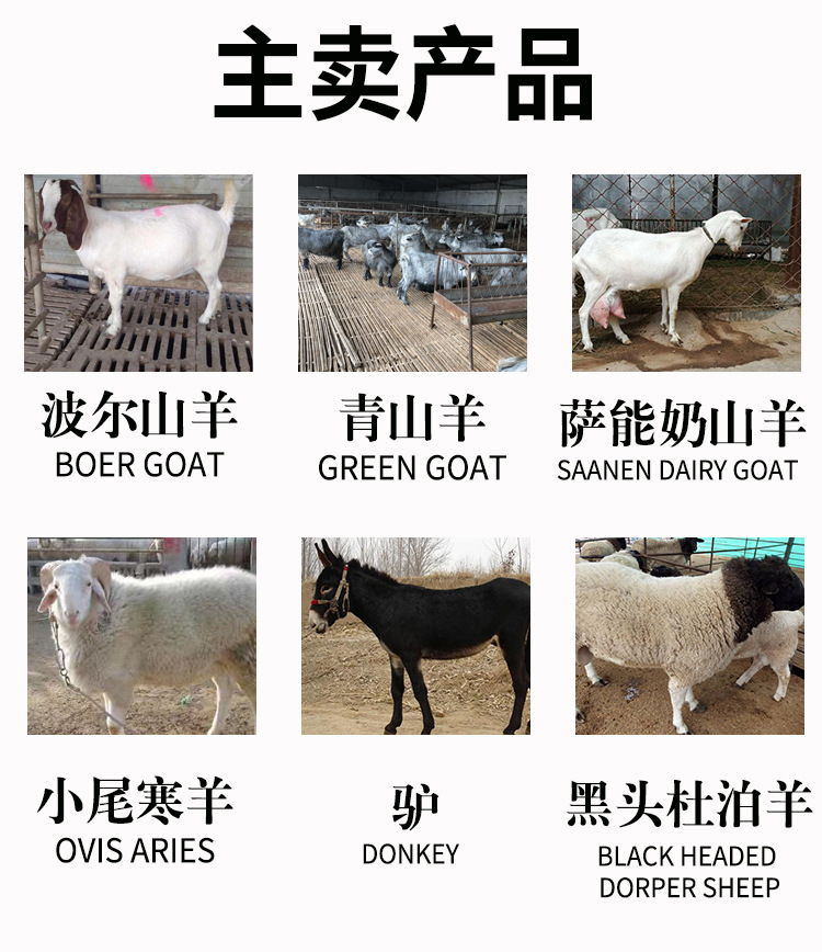 详情页_03.jpg