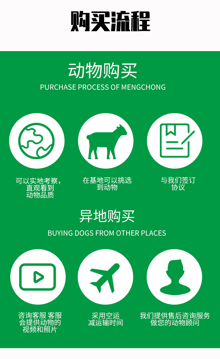 详情页_04.jpg