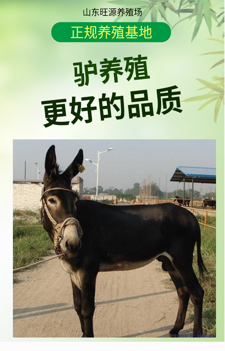 详情页_01.jpg