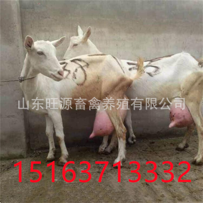 微信图片_20210510155338.jpg