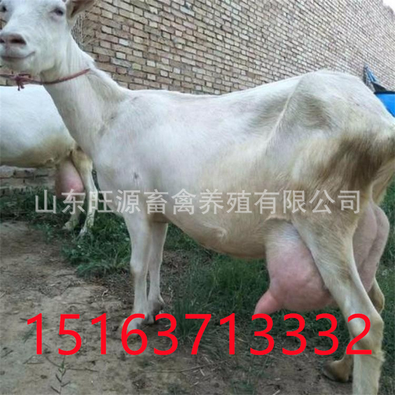 微信图片_20210510155354.jpg