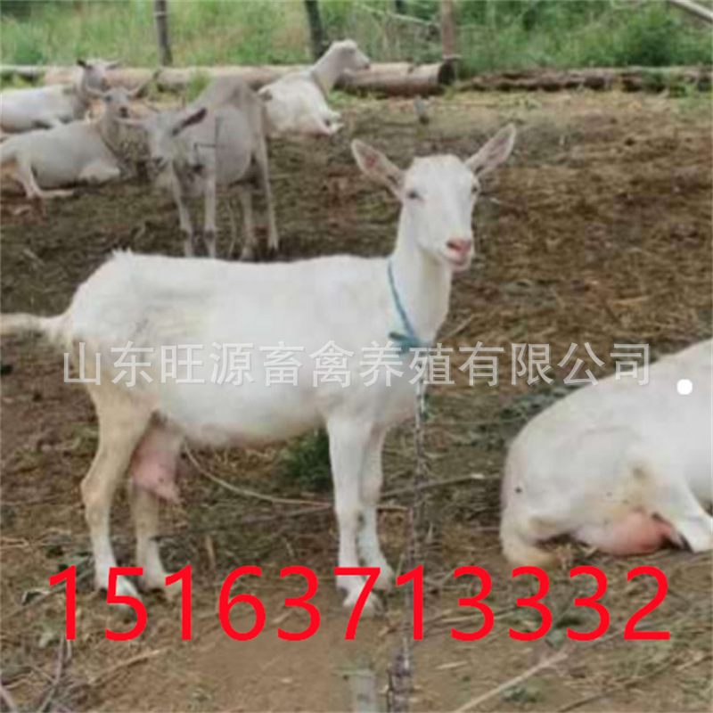 微信图片_20210510154906.jpg