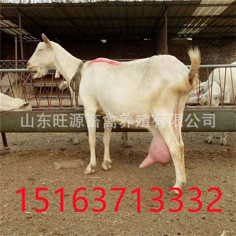 微信图片_20210510155348.jpg