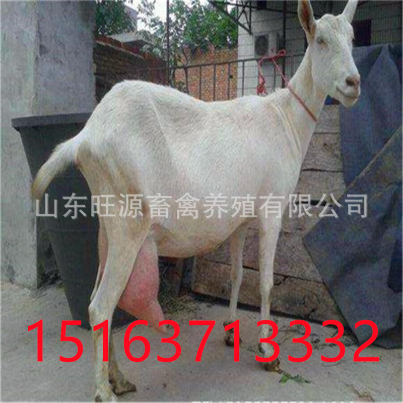 微信图片_20210510155346.jpg