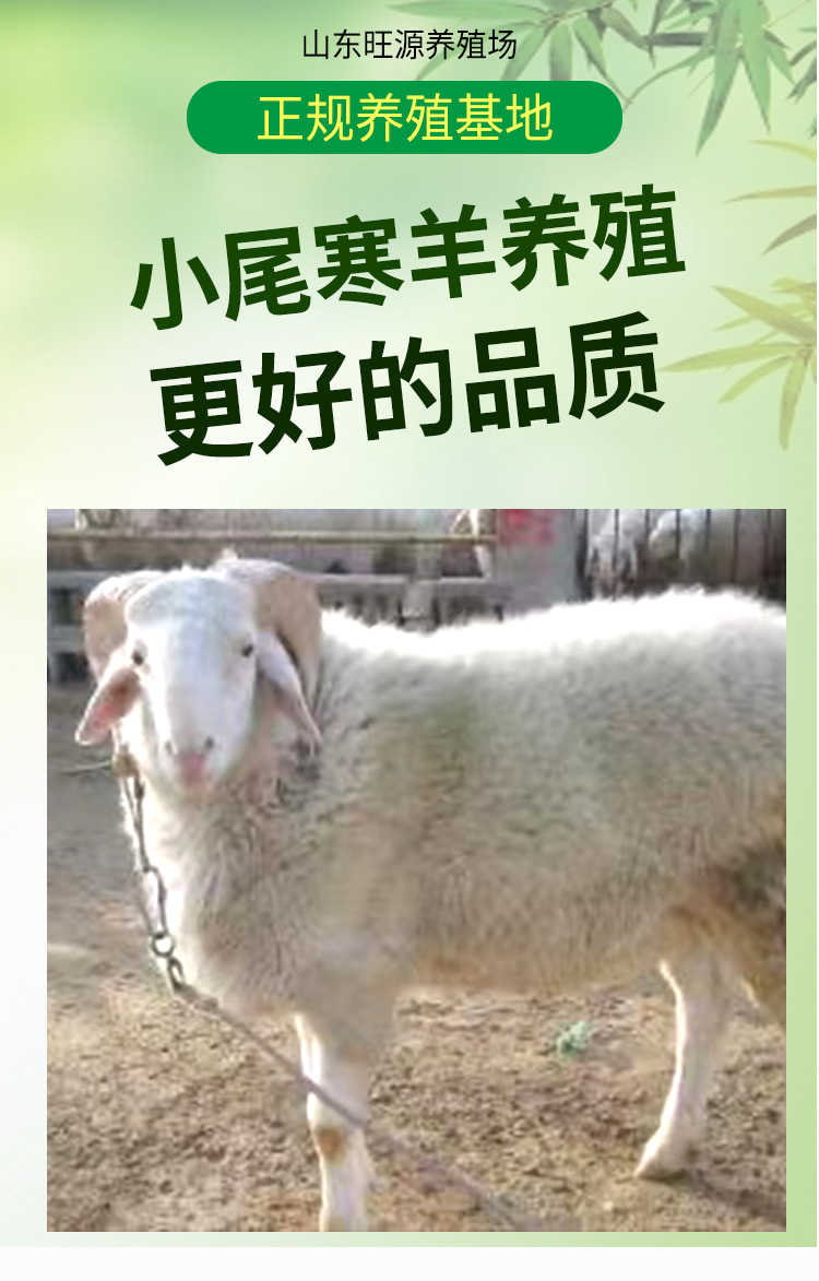 详情页_01.jpg