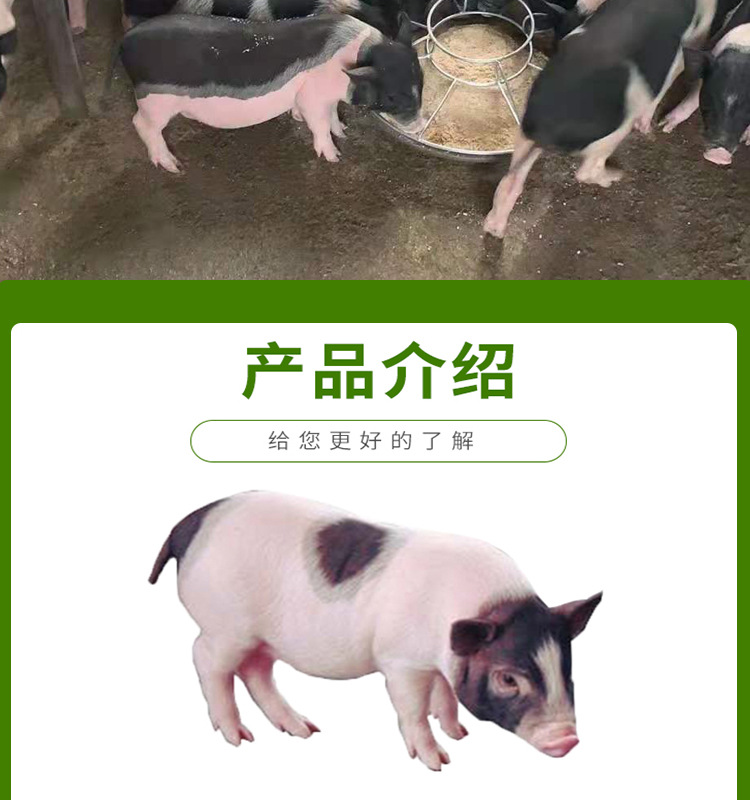 巴a详情页_03.jpg