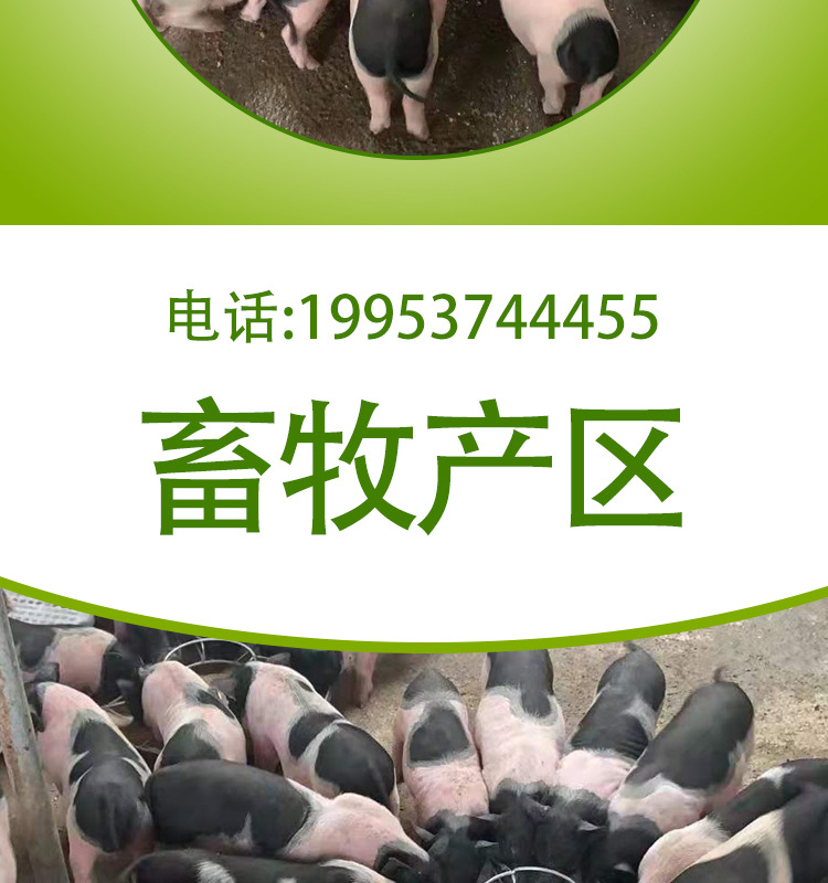 巴a详情页_02.jpg