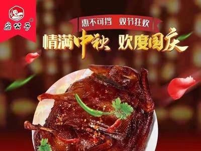 350g休闲鸭肉零食 湖南卤味特产手撕酱香板鸭美味即食熟食小吃图5