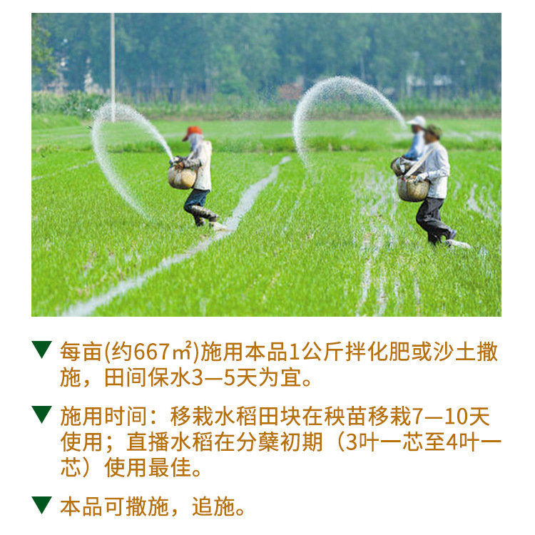 主图 6.jpg