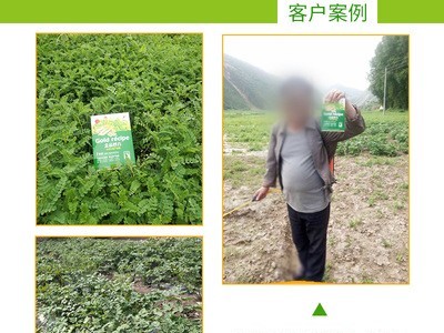 中药材高产套餐叶面肥水溶肥微生物肥中药材高产配方套餐图4