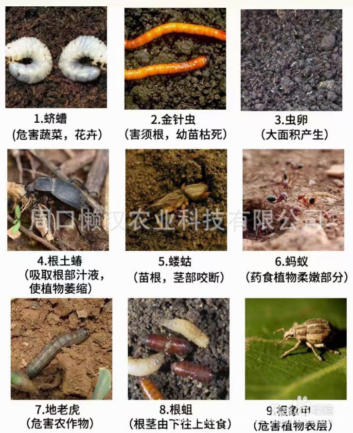 微信图片_20210830150652