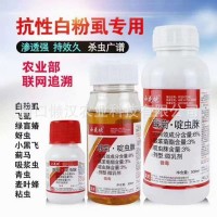 联菊啶虫脒杀虫剂白粉虱飞虱绿盲蝽蚜虫蓟马吸浆虫300克*30瓶/箱