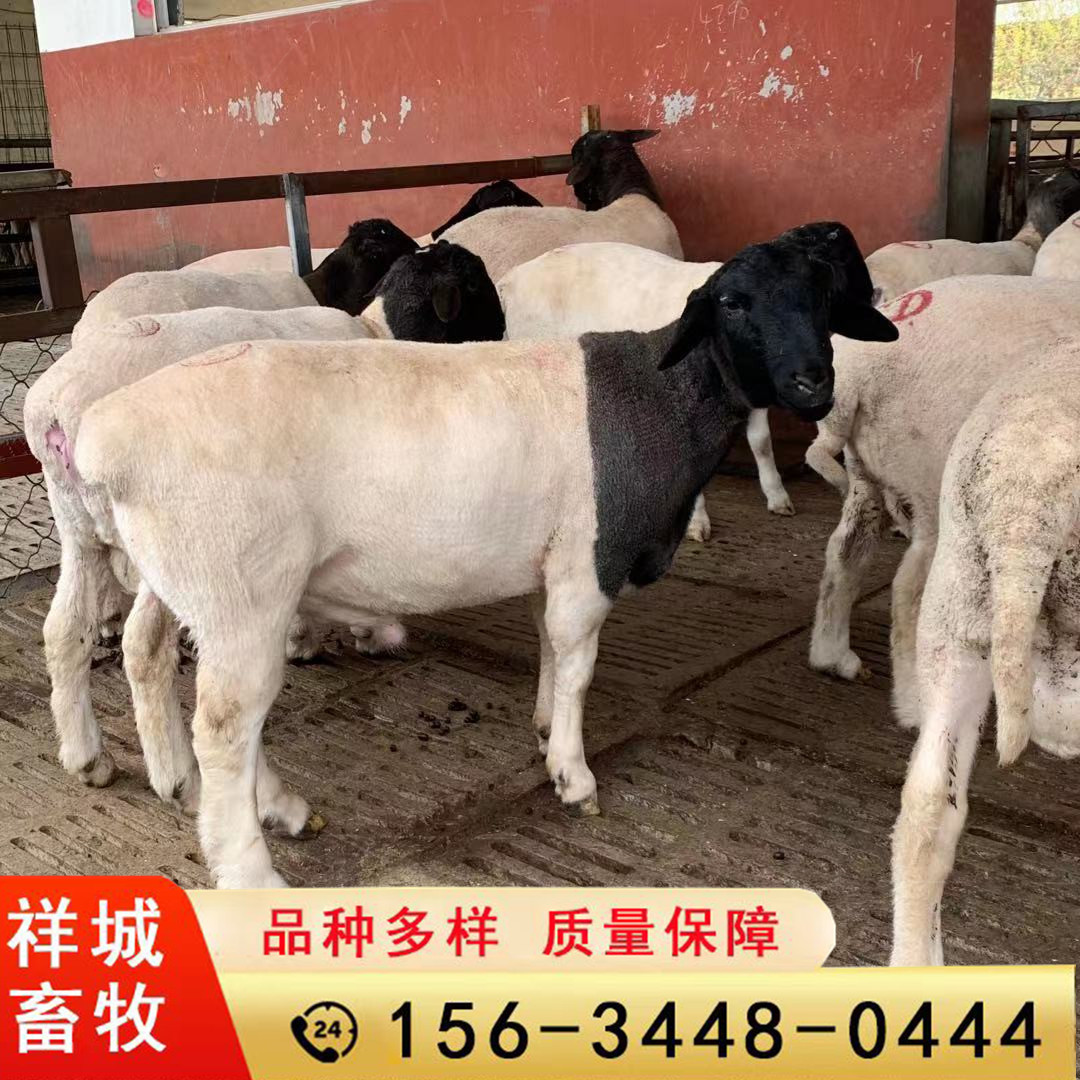 微信图片_20210405192724.jpg