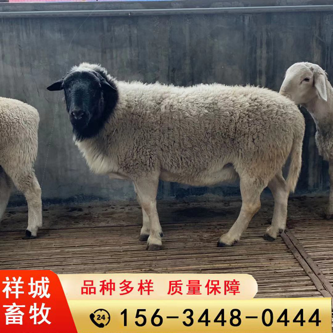 微信图片_20210405192748.jpg