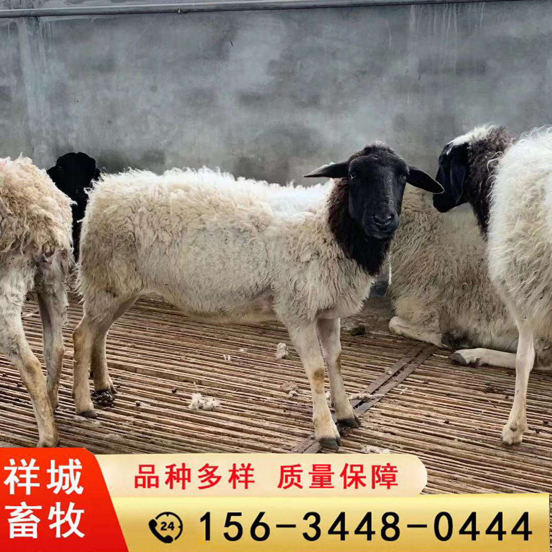 微信图片_20210405192729.jpg