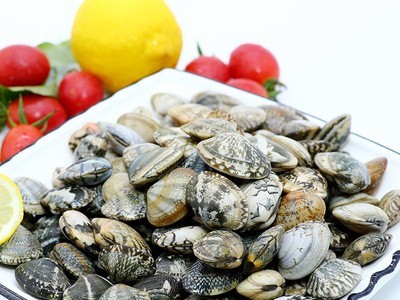 花甲肉蛤蜊肉去壳无沙新鲜花蛤鲜冻现货批发图4