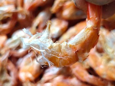 厂家批发 海鲜干货 淡干烤虾干 对虾干 即食烤虾 大虾250克图4