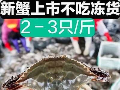 开海梭子蟹新鲜鲜活冰鲜冷冻发货3两/只海蟹飞蟹大梭子蟹全国包邮图5