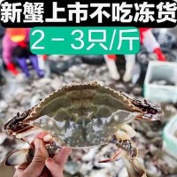 开海梭子蟹新鲜鲜活冰鲜冷冻发货3两/只海蟹飞蟹大梭子蟹全国包邮