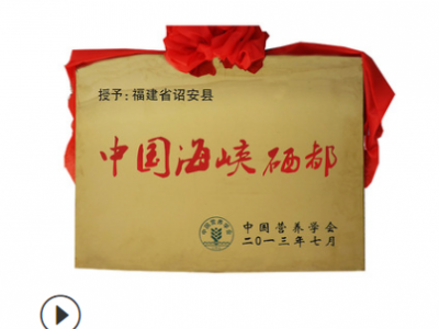 富硒红茶私房茶高山有机茶叶礼盒装金骏眉红茶 批发OEM加工图2
